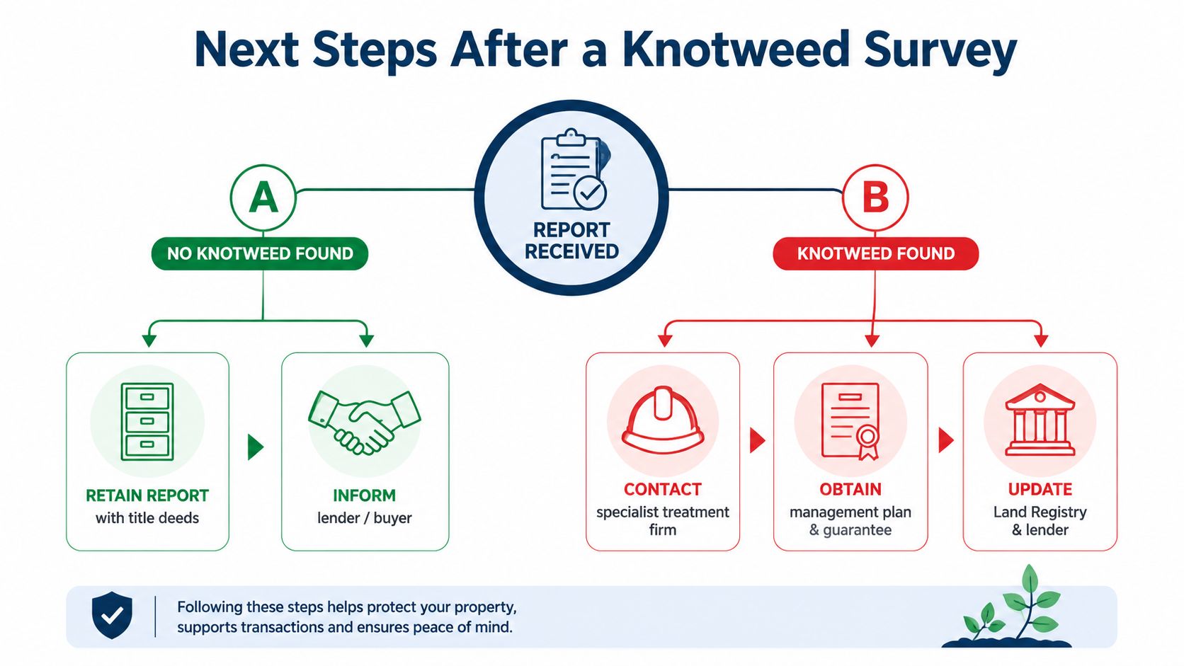 A flowchart showing the recommended steps to take after receiving a Japanese knotweed survey report.