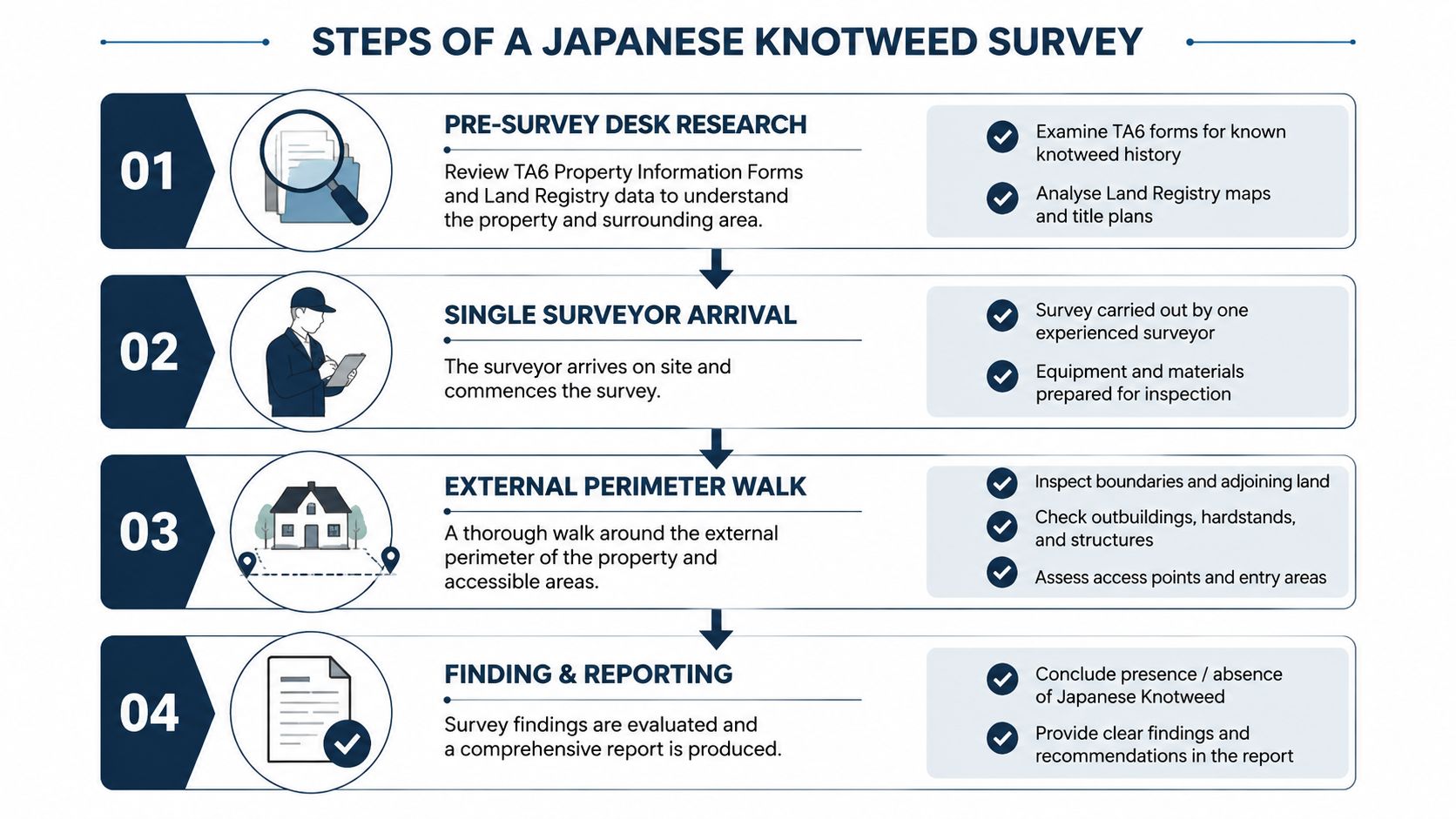 A flow chart illustrating the four professional steps involved in conducting a Japanese knotweed property survey.