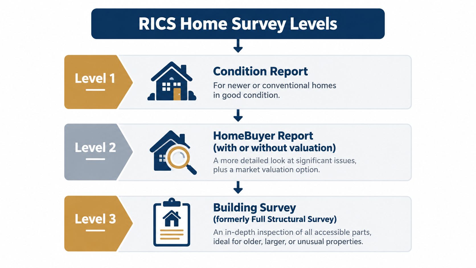 A diagram explaining the three levels of RICS Home Surveys including Condition Report, HomeBuyer Report, and Building Survey.